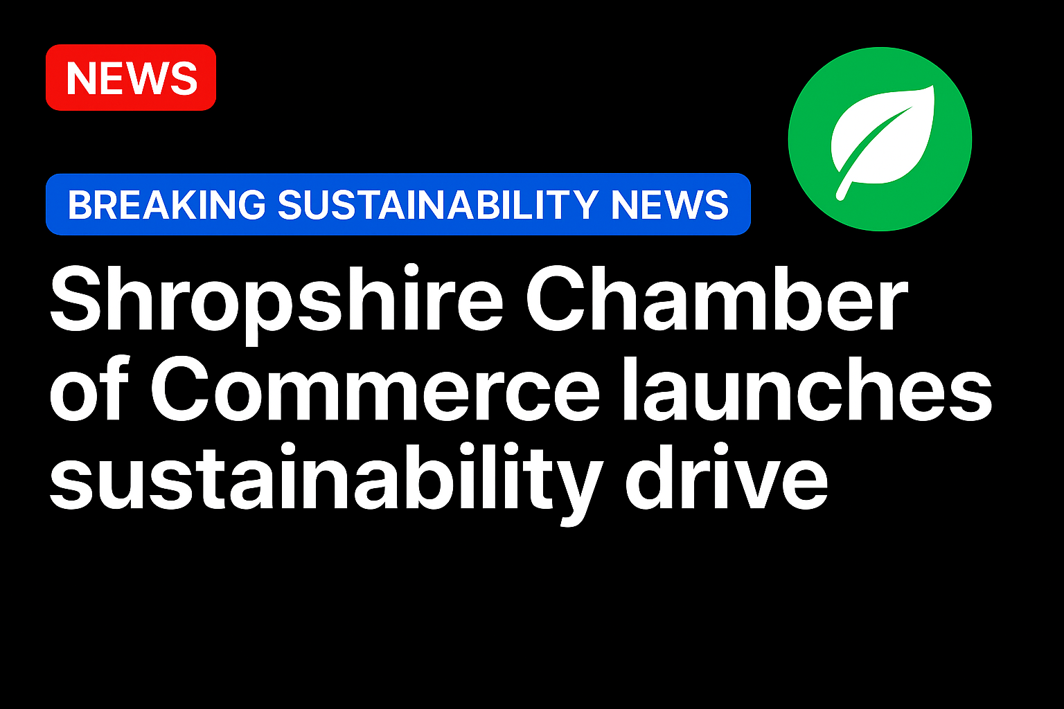 Shropshire Chamber of Commerce launches sustainability drive