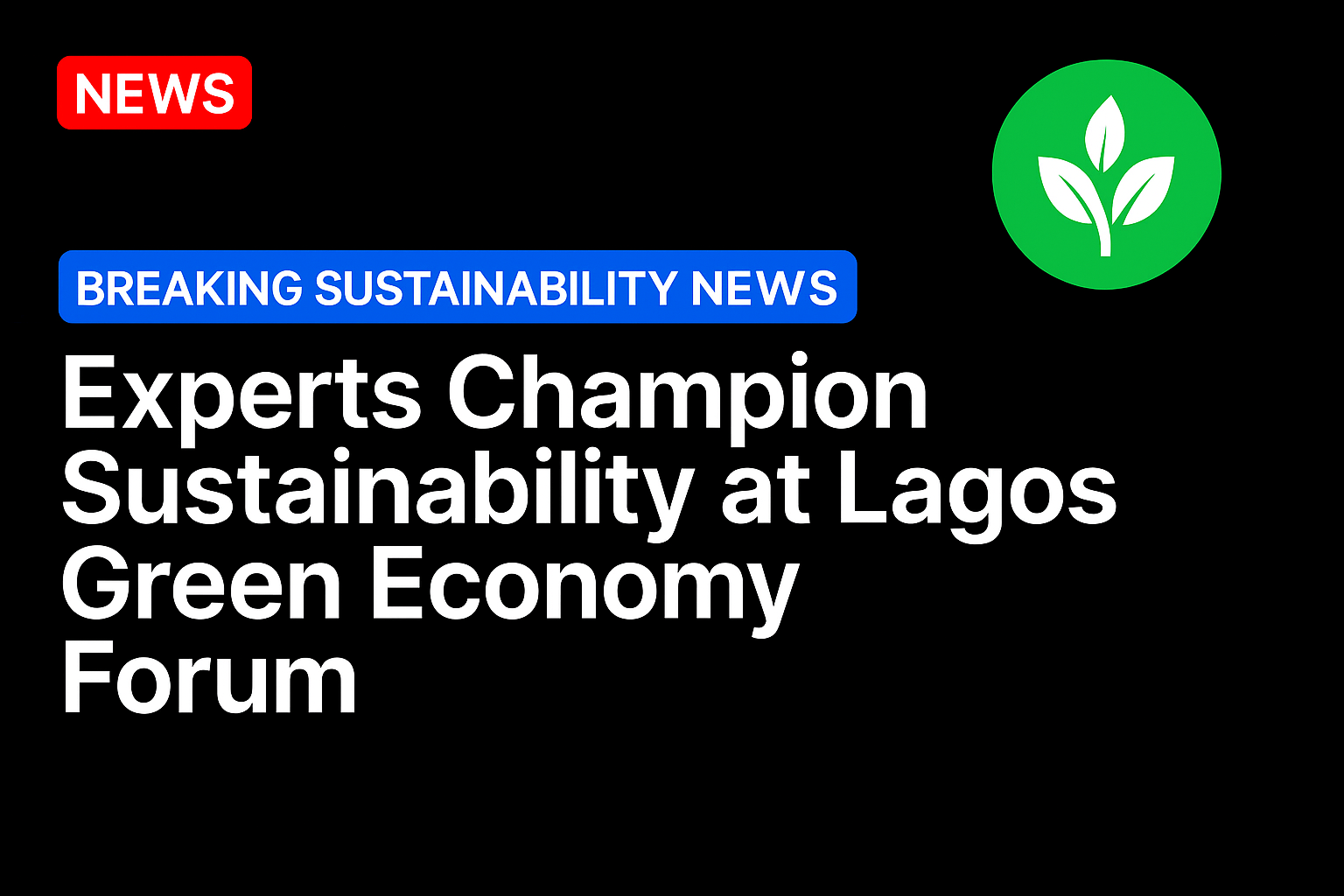 Experts Champion Sustainability at Lagos Green Economy Forum