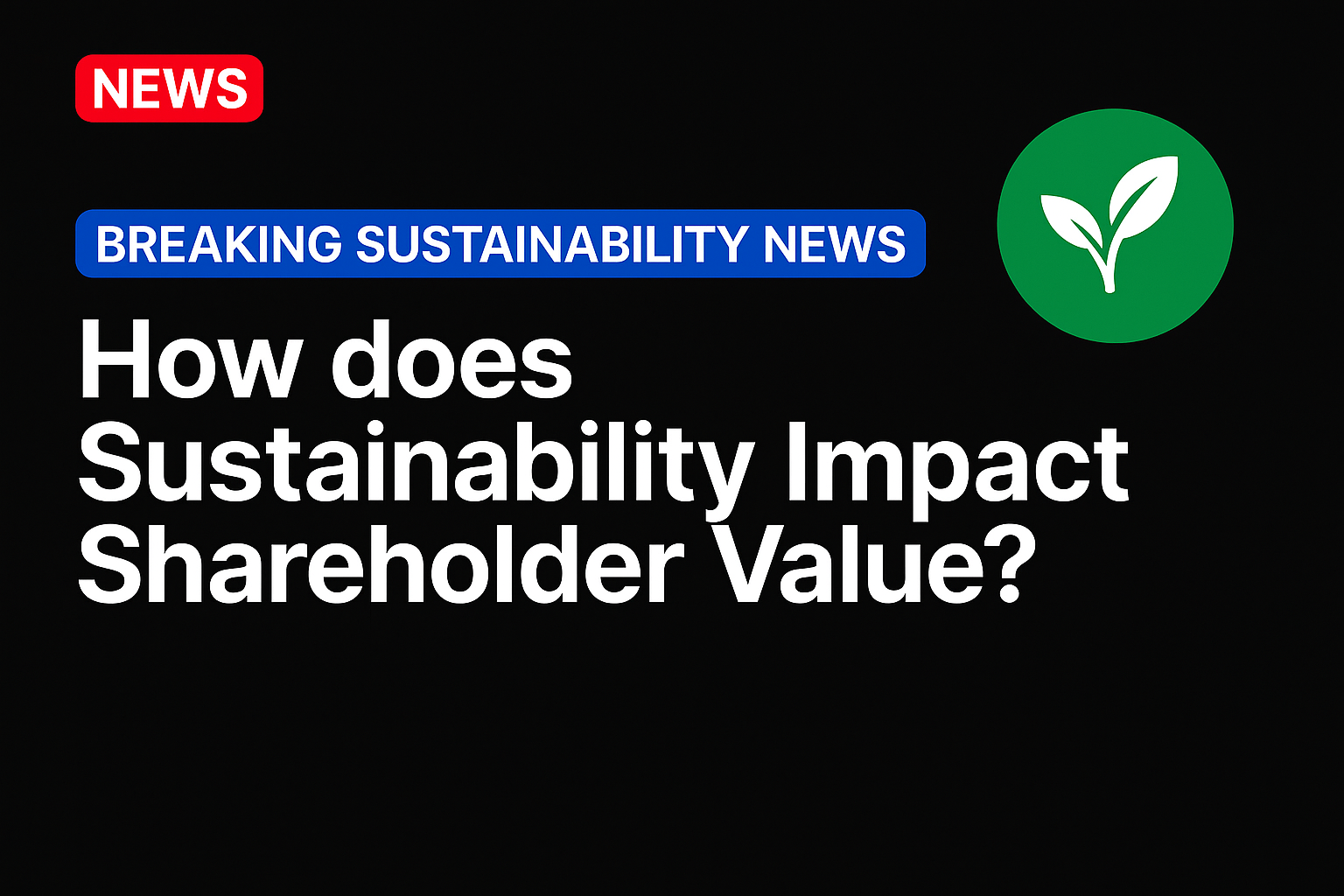 How does Sustainability Impact Shareholder Value?