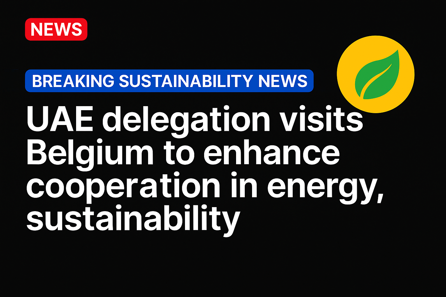 UAE delegation visits Belgium to enhance cooperation in energy, sustainability