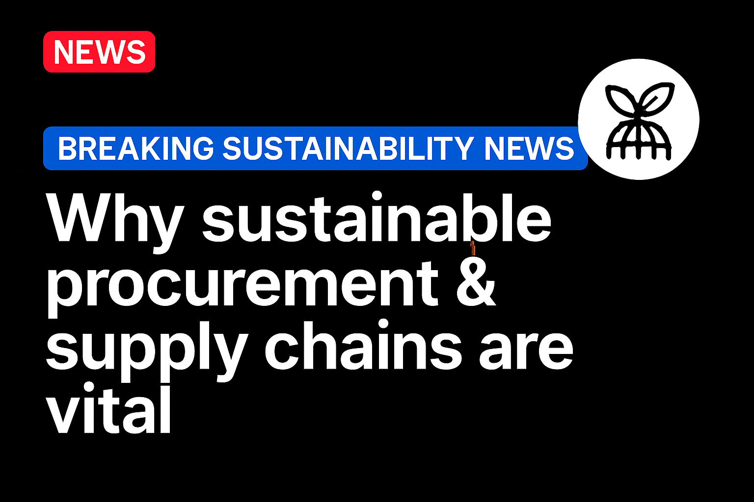 Why Sustainable Procurement & Supply Chains are Vital