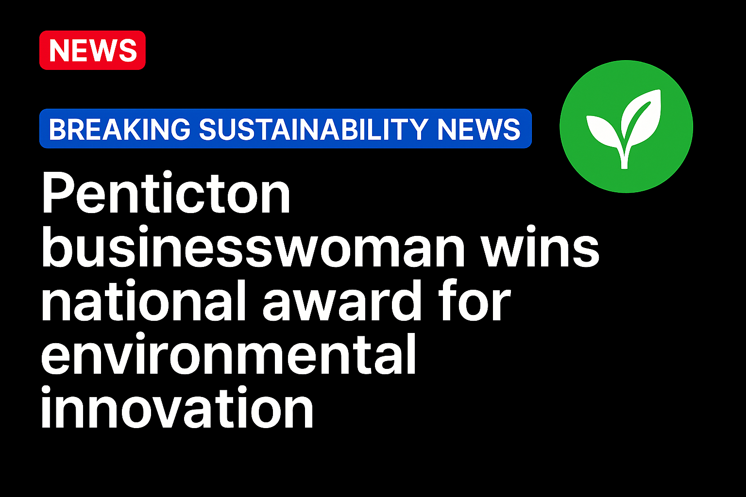 Penticton businesswoman wins national award for environmental innovation
