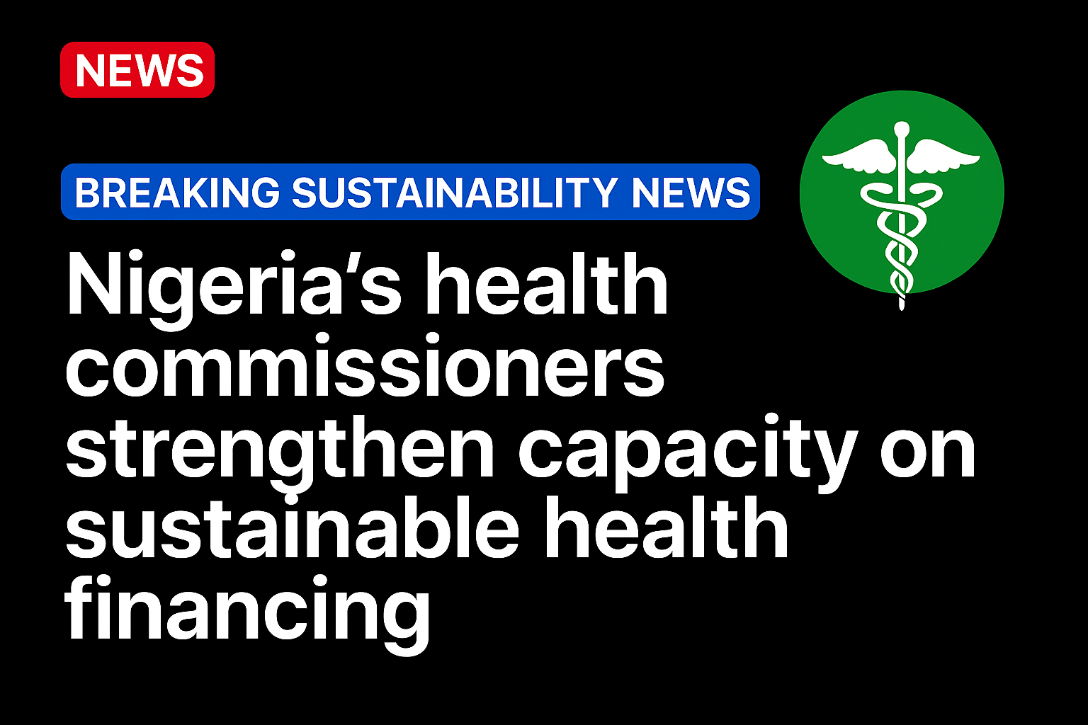 Nigeria’s health commissioners strengthen capacity on sustainable health financing