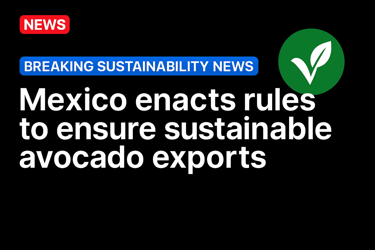 Mexico Enacts Rules to Ensure Sustainable Avocado Exports