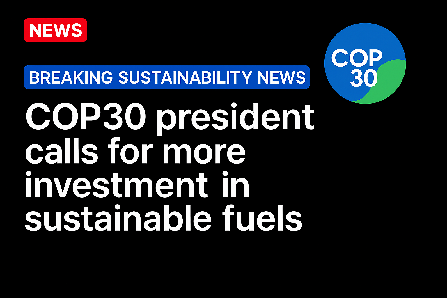 COP30 president calls for more investment in sustainable fuels