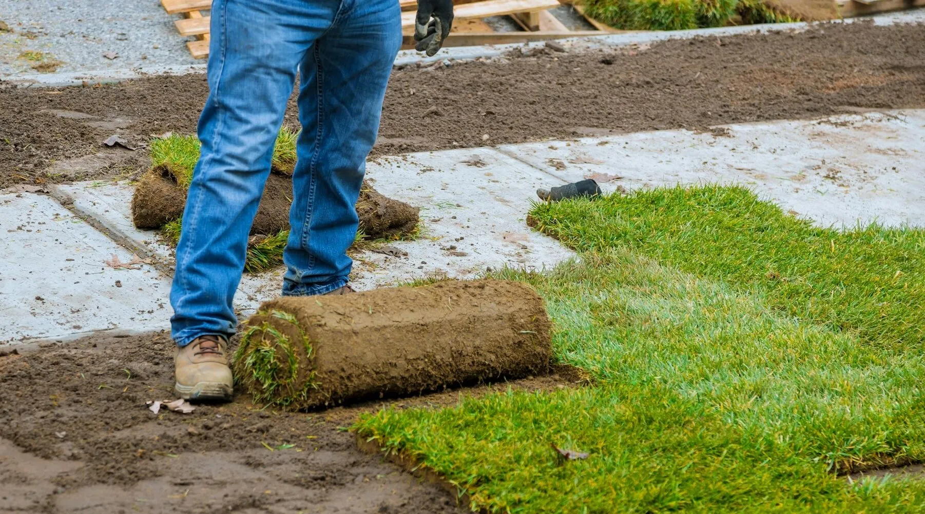 Clemson Welcomes Turfgrass Agronomist to Expand Research and Industry Collaboration