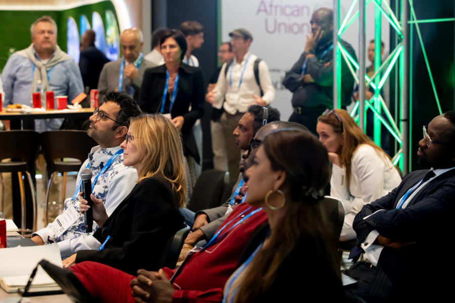 Climate Finance in Africa Gains Attention at Green Economy Summit